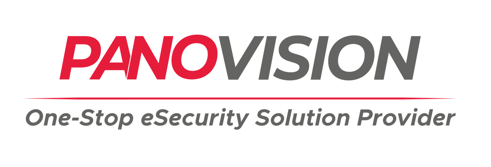 Panovision Logo 20.07-02